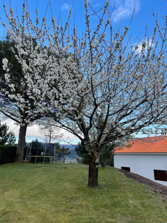 فيلا Casa Catita - Douro Baião المظهر الخارجي الصورة